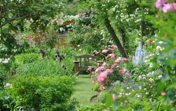 Le jardin de la maison d’André Eve
